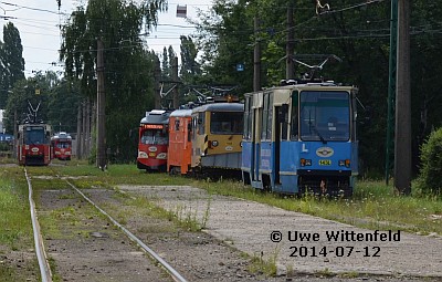 ©Uwe Wittenfeld 2014-07-12 | Click to enlarge!