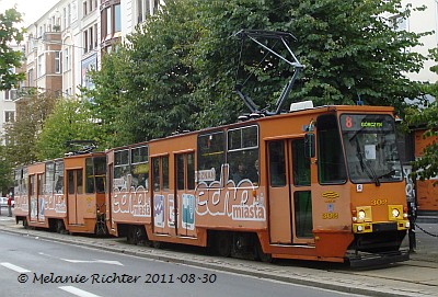 © Melanie Richter 2011-08-30 | Click to enlarge picture!