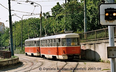 © Daniela Richter-Wittenfeld 2003-08 | Click to enlarge!