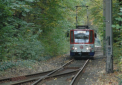© Uwe Wittenfeld 2010-10-15 | Click to enlarge